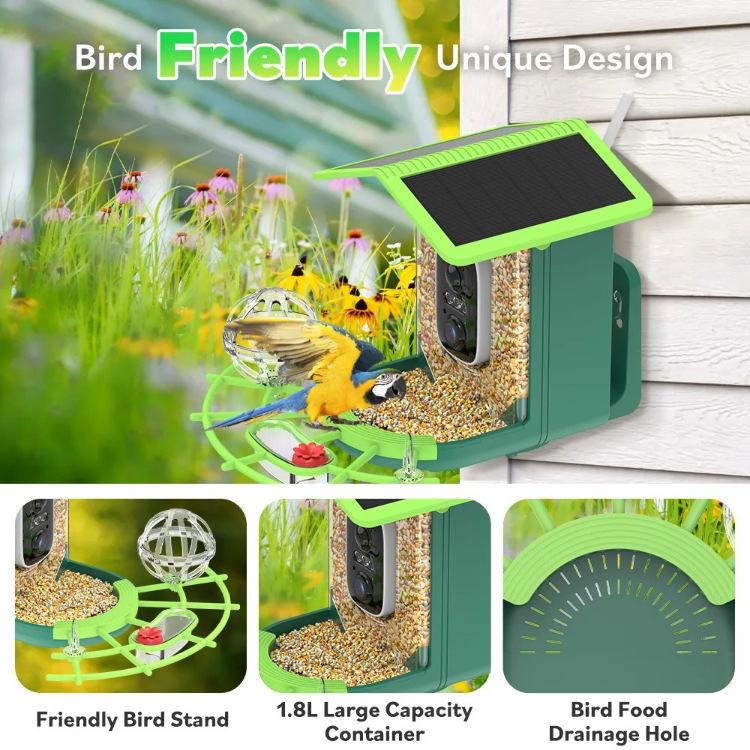 🐦 Watch Real Birds Visit Your Garden — Live on Your Phone, 24/7