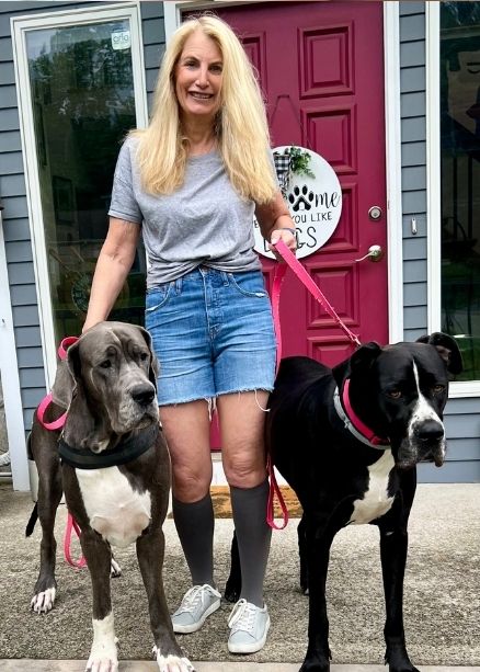 <h2>240,000+ Women Wear Everstride Daily </h2>