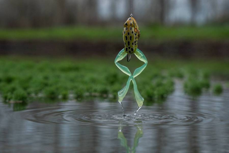 🔥Last Day 60% OFF🔥Ultimate Frog Popper Bait