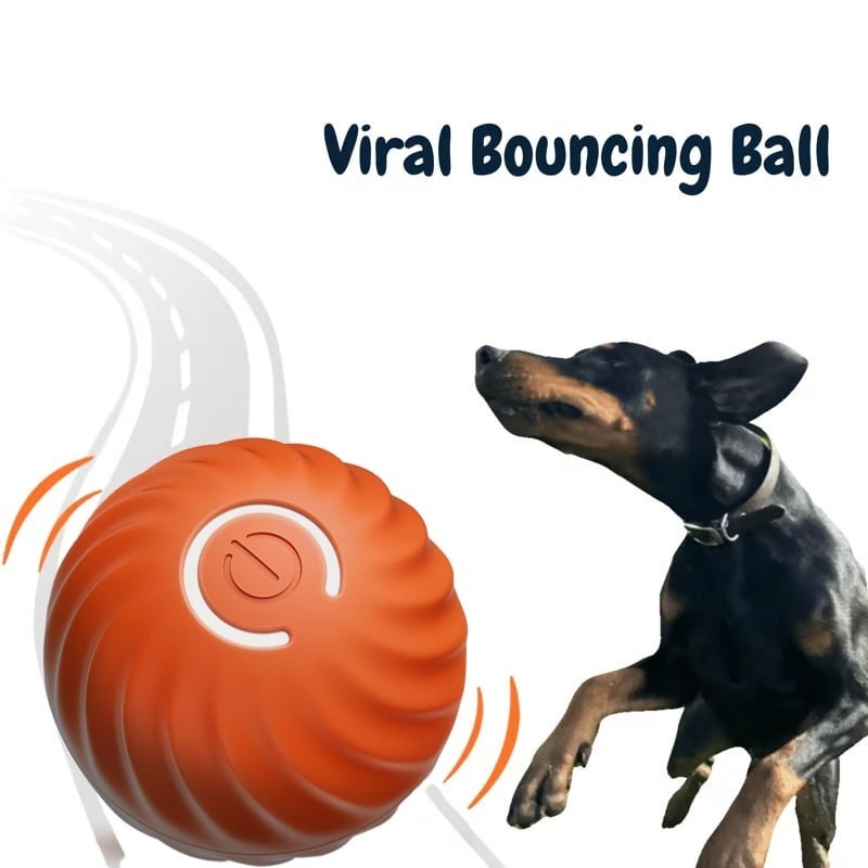 🔥This Week's Special Offer 49% OFF -Chewie Viral Bouncing Ball