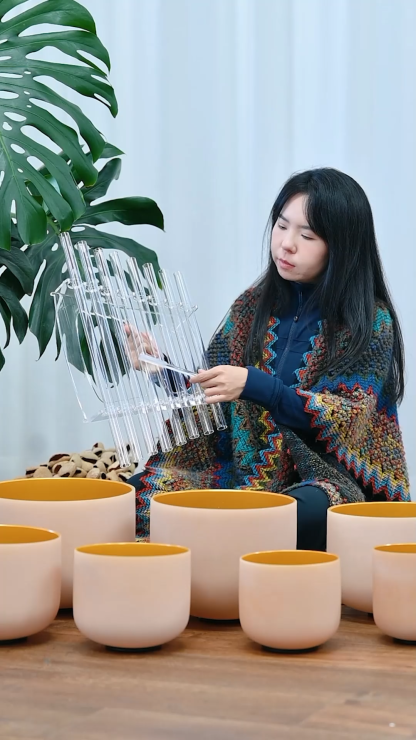 CVNC 8-Note Quartz Crystal Singing Harp with Aluminum Alloy Case