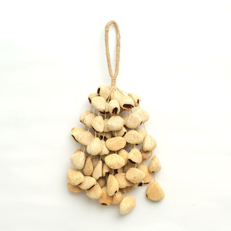 SeedShaker Pangi XXL