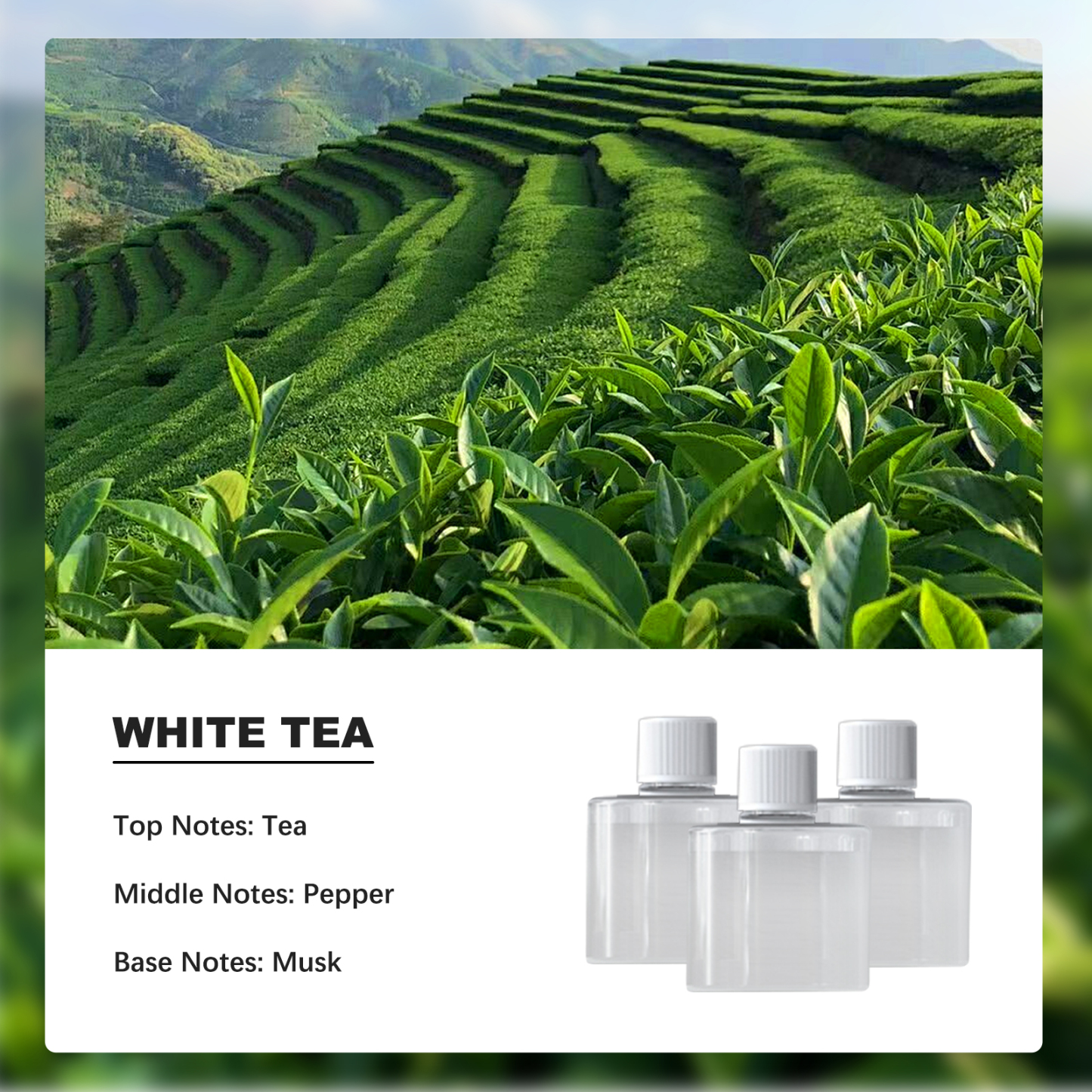 [Free Shiping] Smart Home Aromatherapy Machine, Smart Home Diffuser, Induction Diffuser, Long-lasting Fragrance, Suitable for Bedrooms, Living Rooms, and Bathrooms Gifts for Lover Dad Mom
