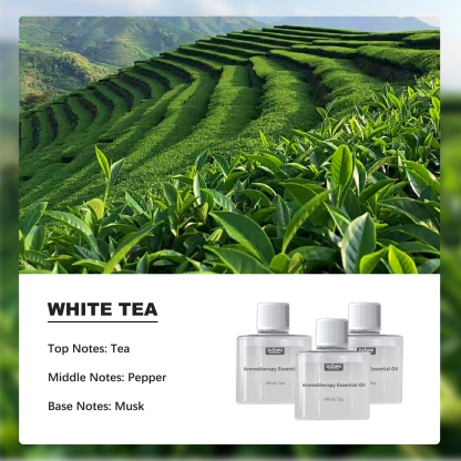 [Free Shiping] DOYOMI Aromatherapy essential oil, used with smart home aromatherapy machine, Long-lasting Fragrance, Suitable for Bedrooms, Living Rooms, and Bathrooms Gifts for Lover Dad Mom