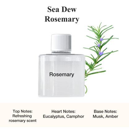 [Free Shiping] DOYOMI Aromatherapy essential oil, used with smart home aromatherapy machine A6, Long-lasting Fragrance, Suitable for Bedrooms, Living Rooms, and Bathrooms Gifts for Lover Dad Mom