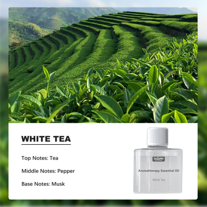 [Free Shiping] DOYOMI Aromatherapy essential oil, used with smart home aromatherapy machine, Long-lasting Fragrance, Suitable for Bedrooms, Living Rooms, and Bathrooms Gifts for Lover Dad Mom
