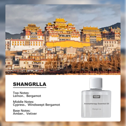 [Free Shiping] DOYOMI Aromatherapy essential oil, used with smart home aromatherapy machine, Long-lasting Fragrance, Suitable for Bedrooms, Living Rooms, and Bathrooms Gifts for Lover Dad Mom