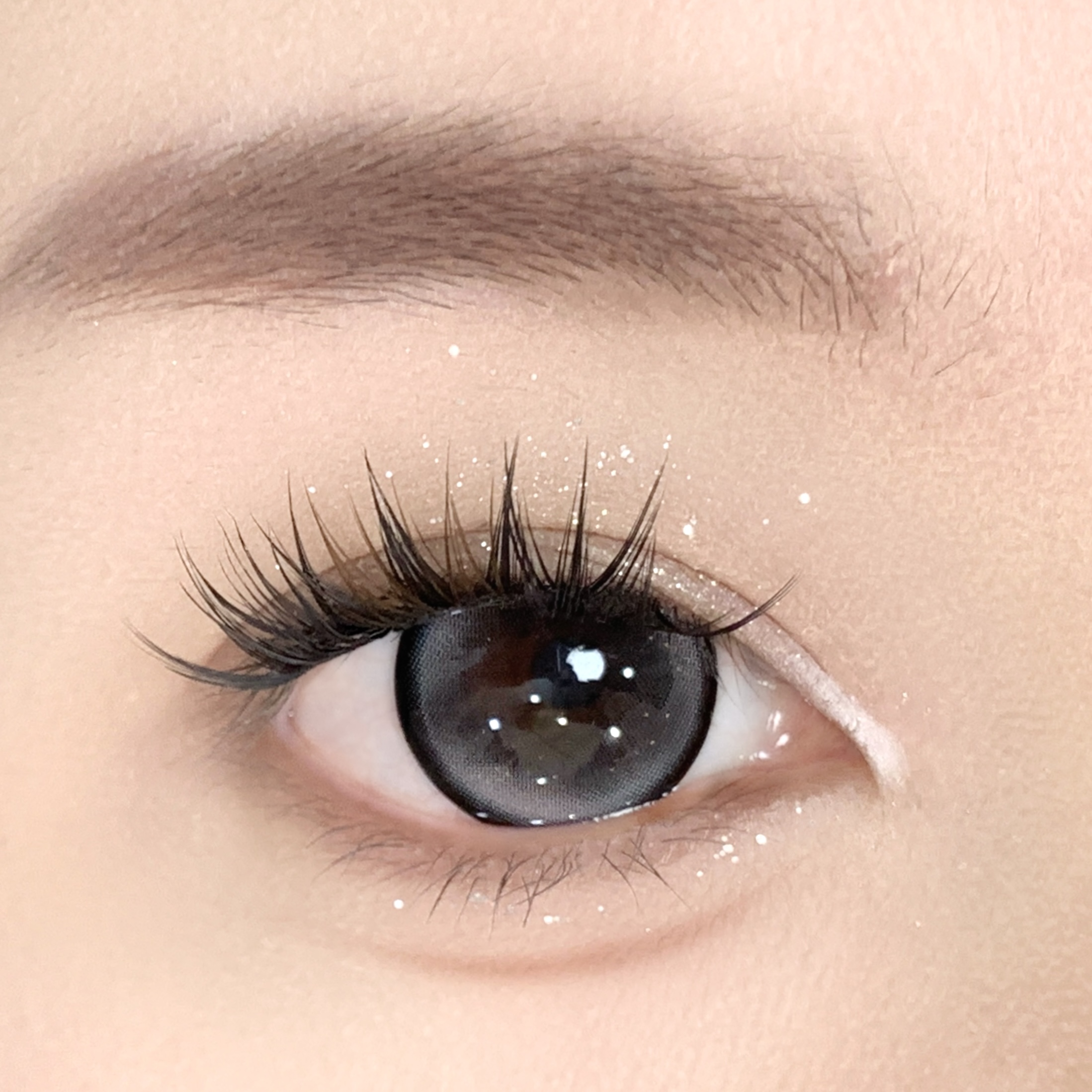 【TiNACON】Coca Black 14.5mm 6 months Watery Soft Contact Lens