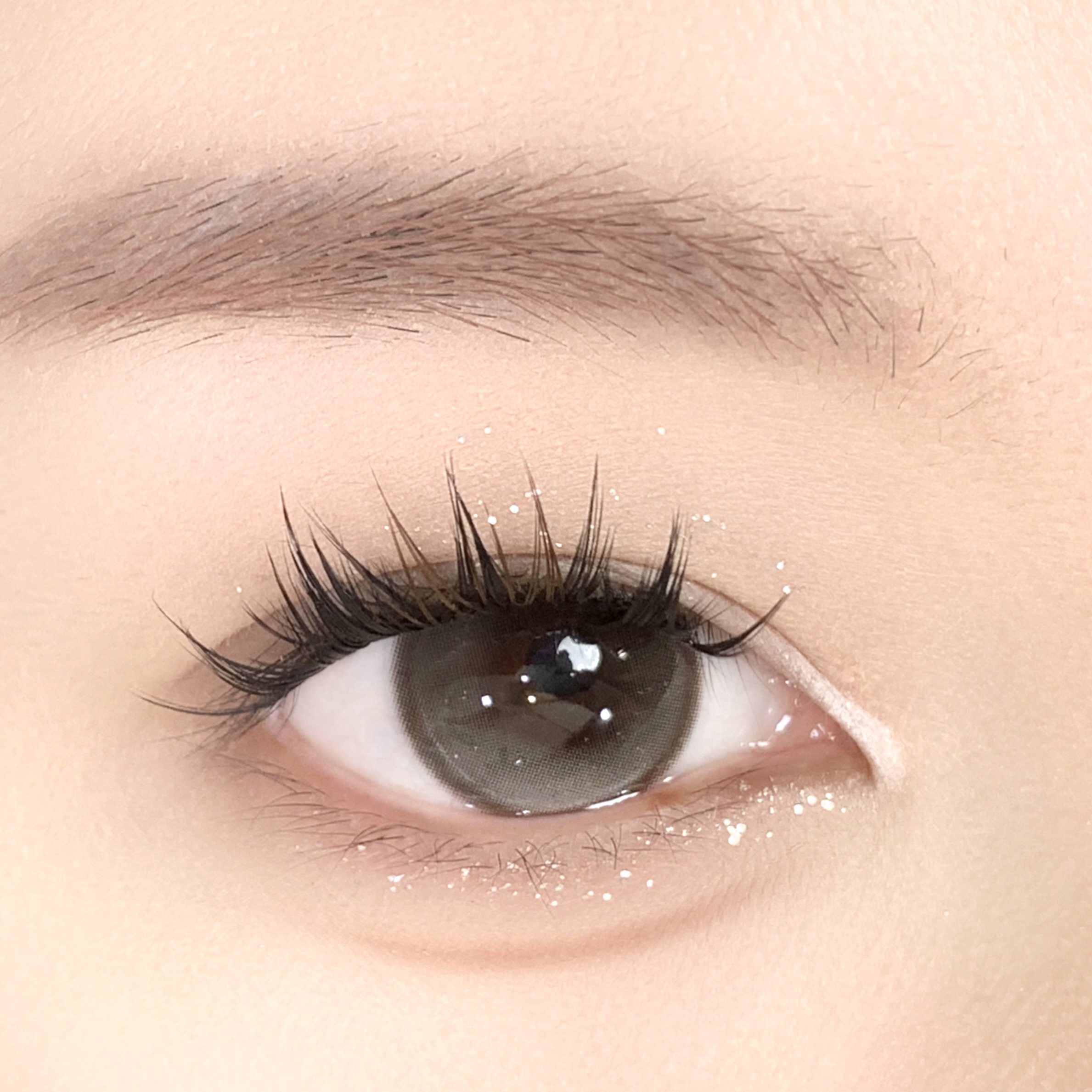 【TiNACON】Diary Brown 14.5mm 6 months Watery Soft Contact Lens