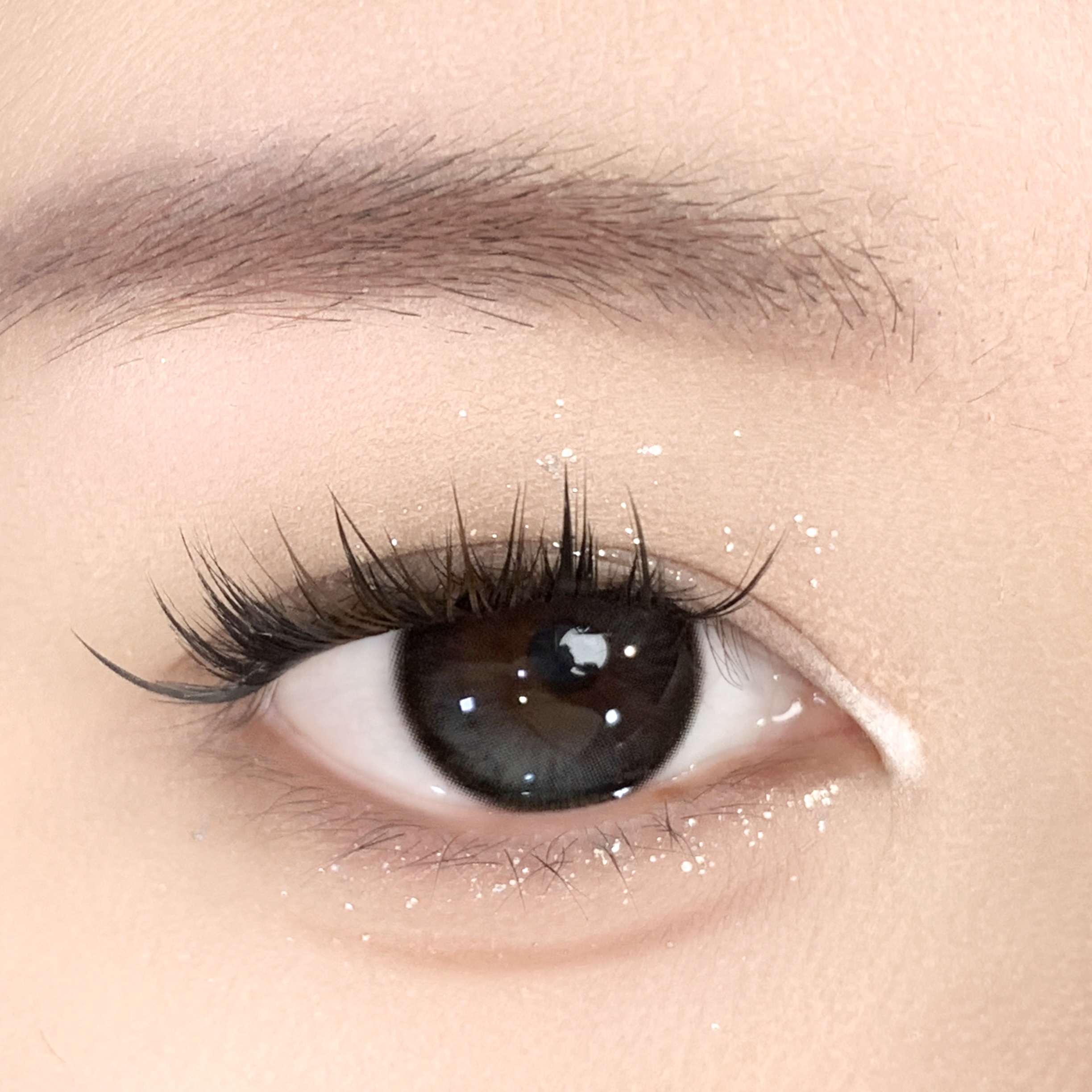 【TiNACON】Crush Black 14.5mm Daily Watery Soft Contact Lens