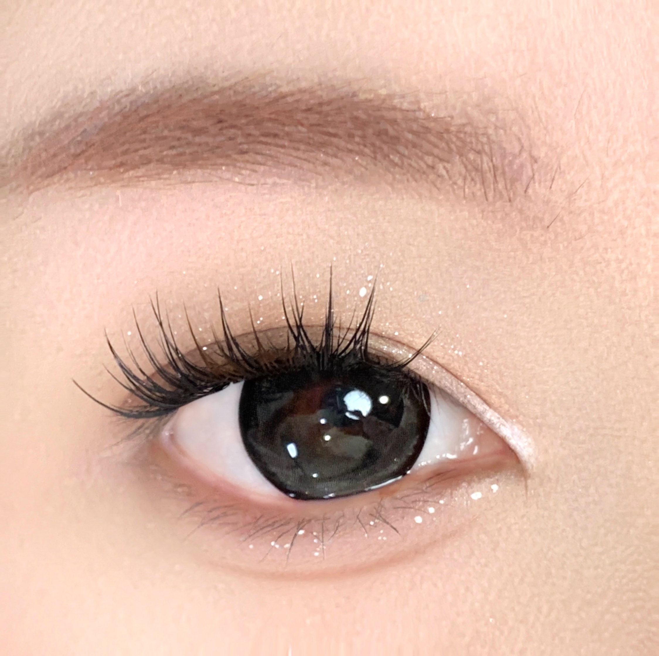 【TiNACON】Starlight Shard 14.5mm 6 Months Natural Watery Soft Contact Lens 