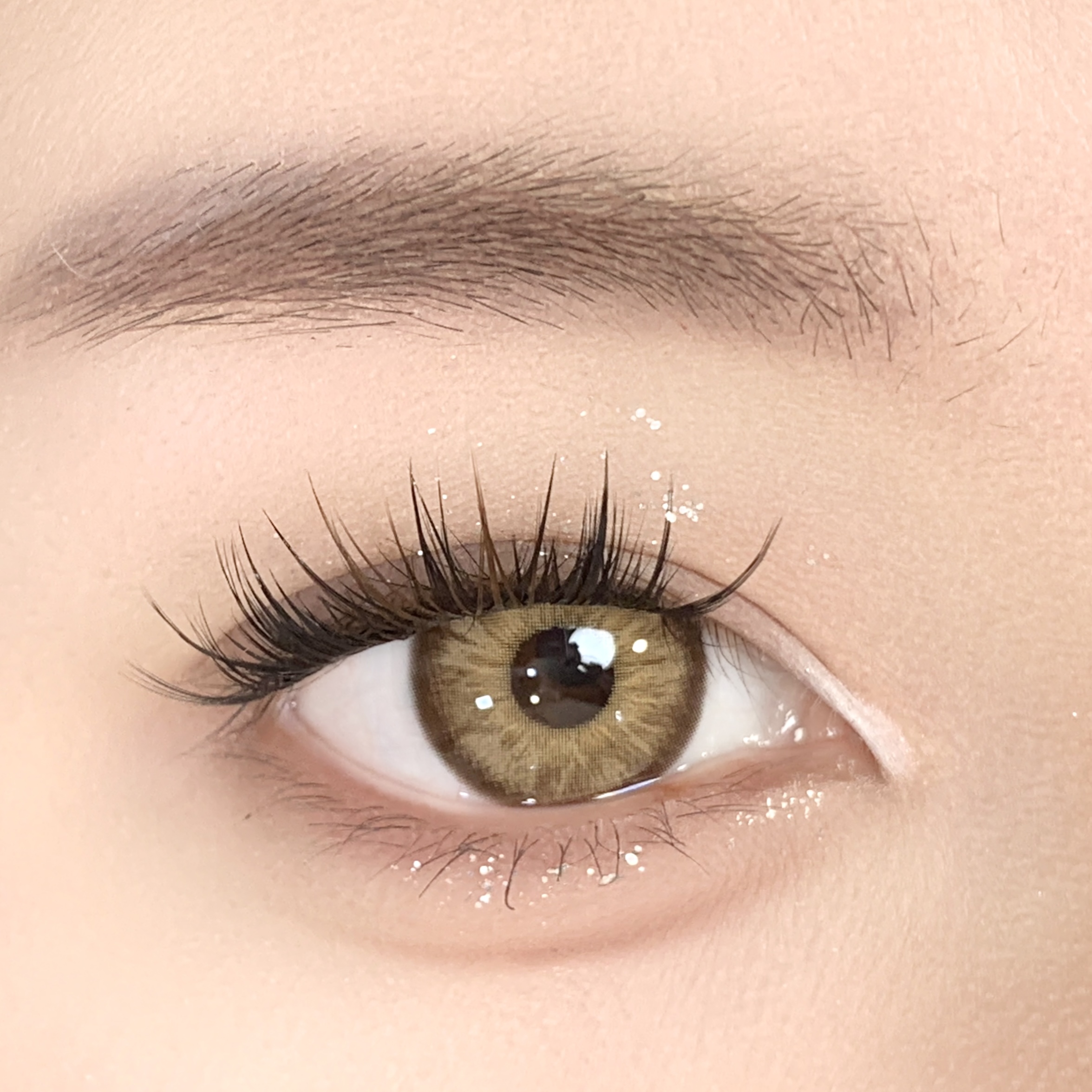 【TiNACON】Golden Amber 14.5mm 6 months Watery Soft Contact Lens 