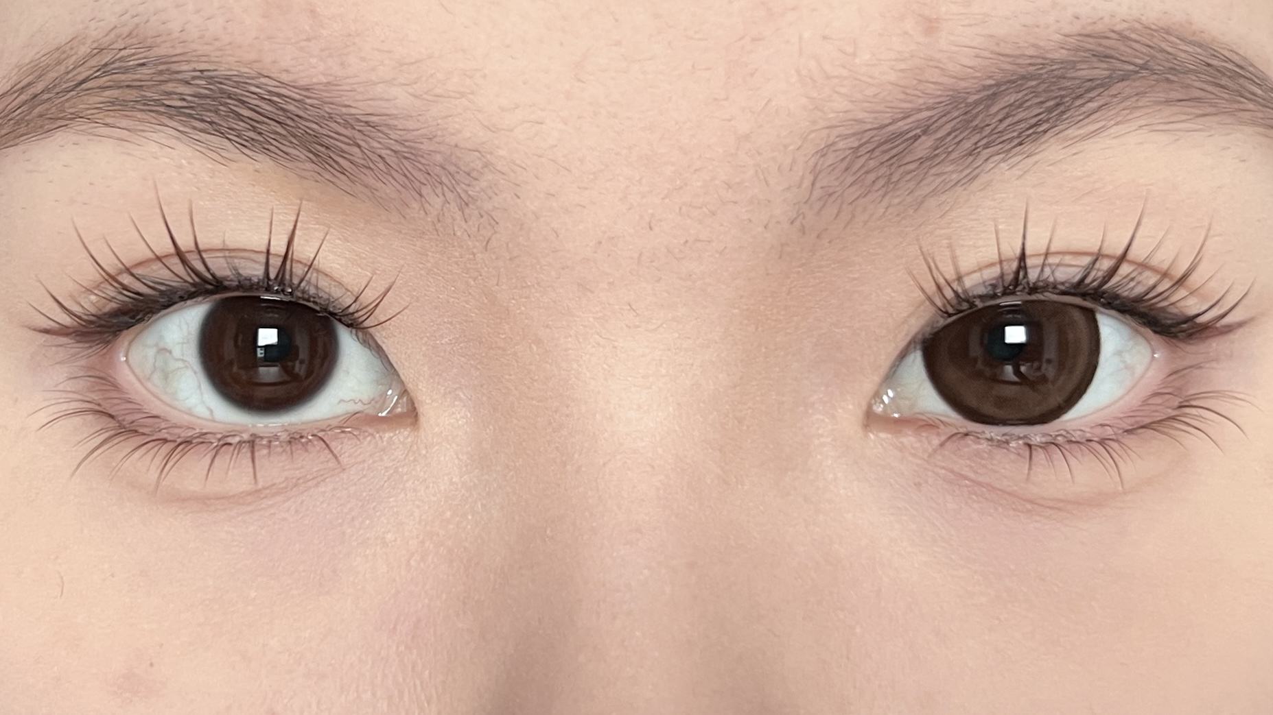 【TiNACON】Toffee Glaze 14.5mm 6 months Watery Soft Contact Lens