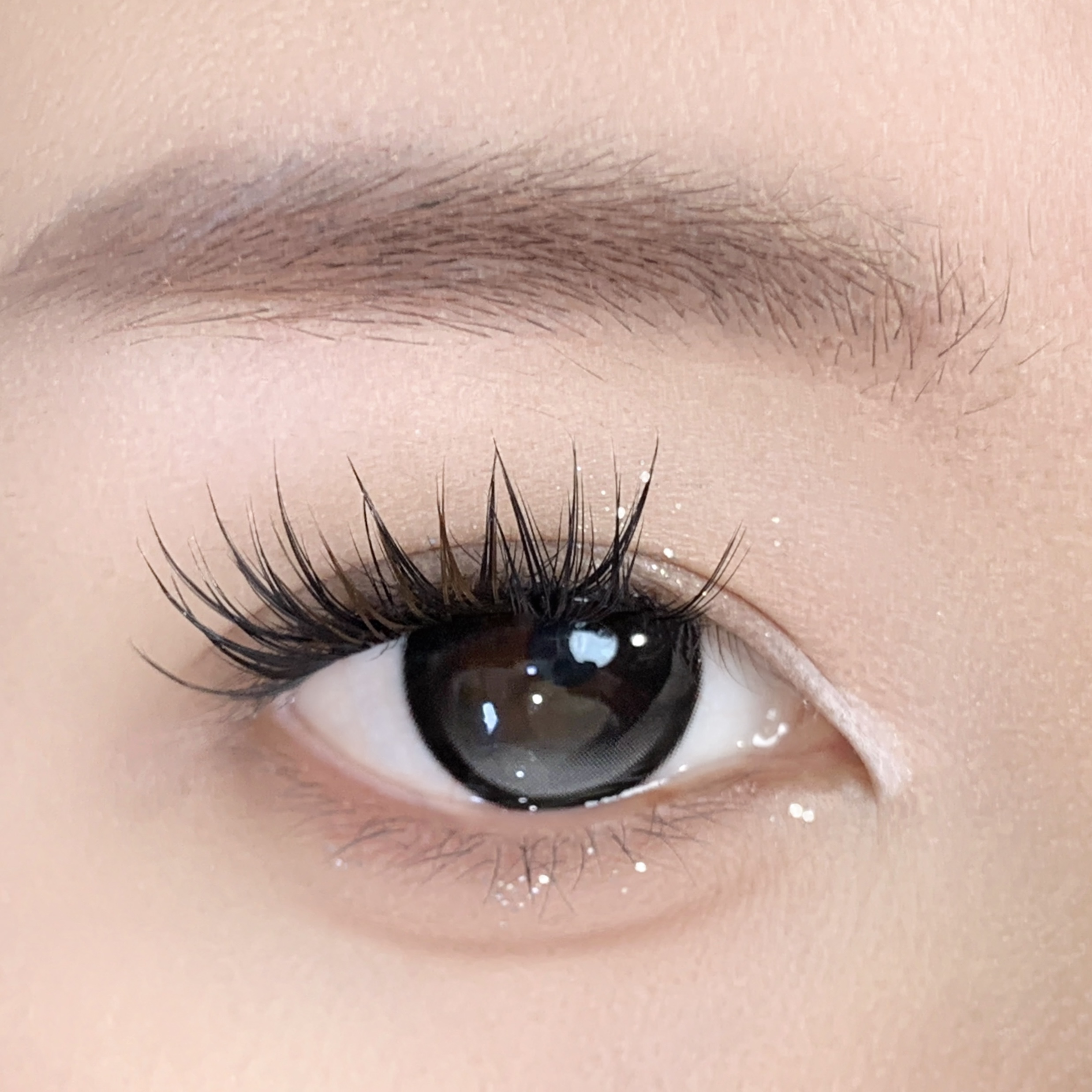 【TiNACON】 Black Milk Tea 14.5mm 6 Months Natural Watery Soft Contact Lens 
