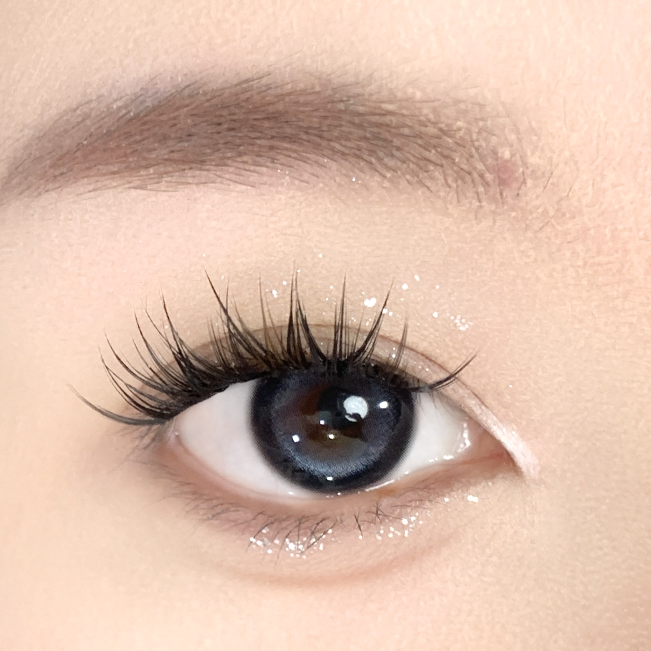 【TiNACON】Blueberry 14.2mm 6 Months Natural Watery Soft Contact Lens