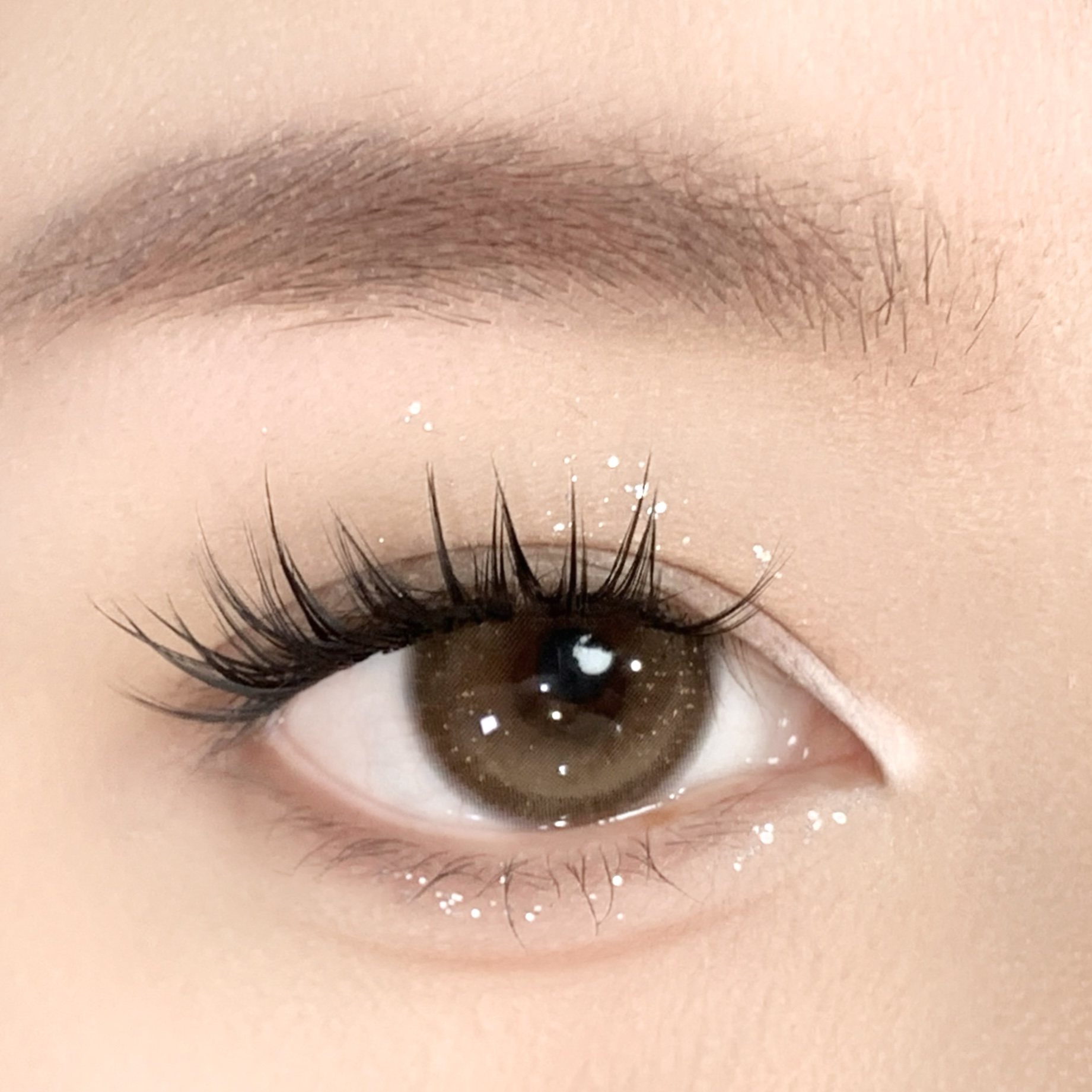 【TiNACON】Cookie Brown 14.5mm 6 months Watery Soft Contact Lens 