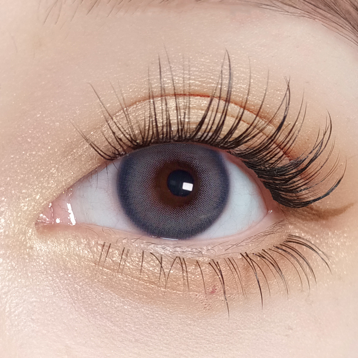【TiNACON】Kitty Gray 14.2mm 6 Months Natural Watery Soft Contact Lens