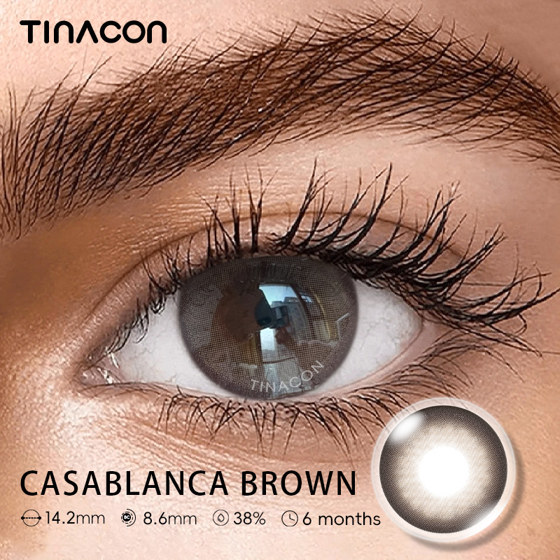 【TiNACON】Casablanca Brown 14.2mm Daily Watery Soft Contact Lens 2024 New Arrival