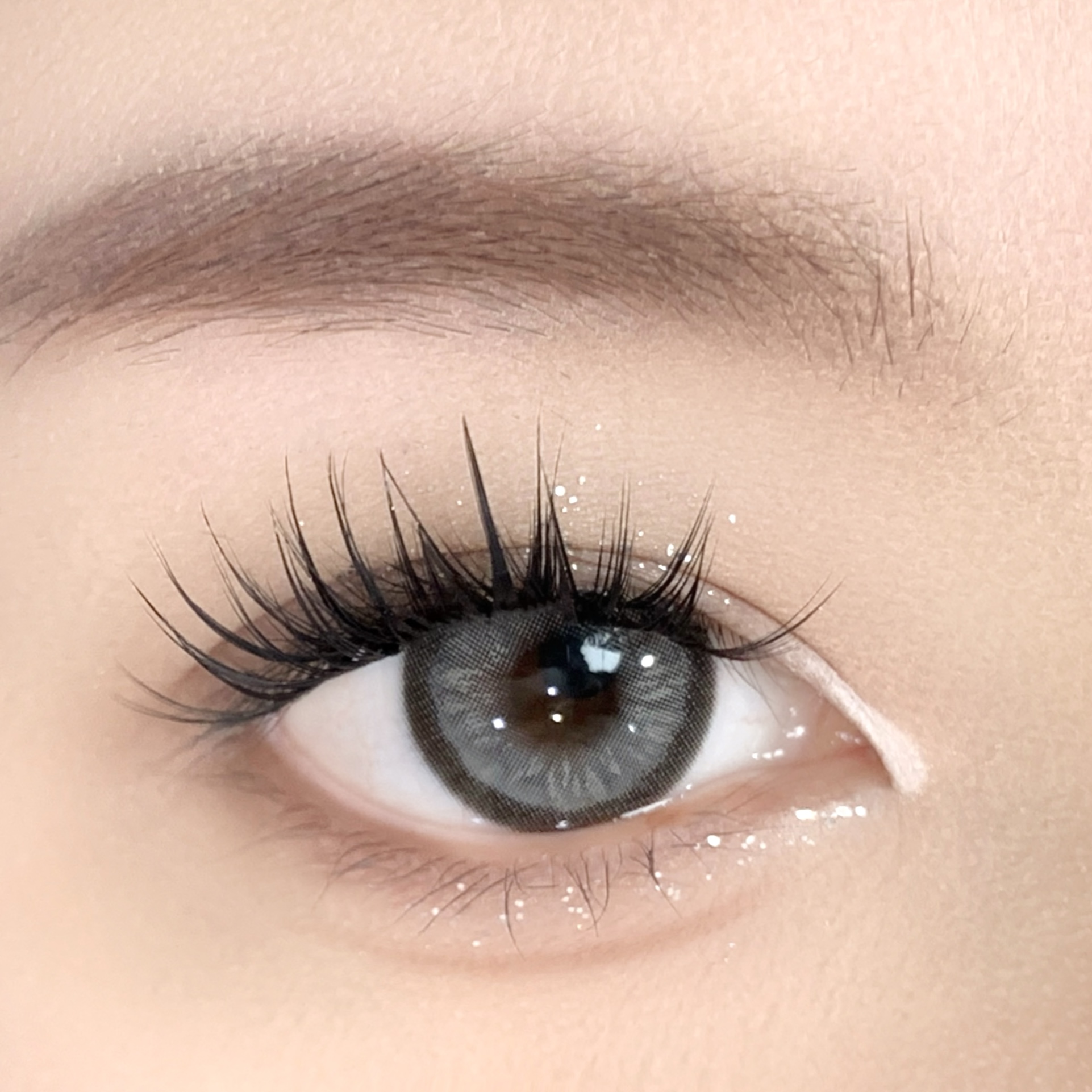 【TiNACON】Swan Gray 14.5mm 6 months Watery Soft Contact Lens