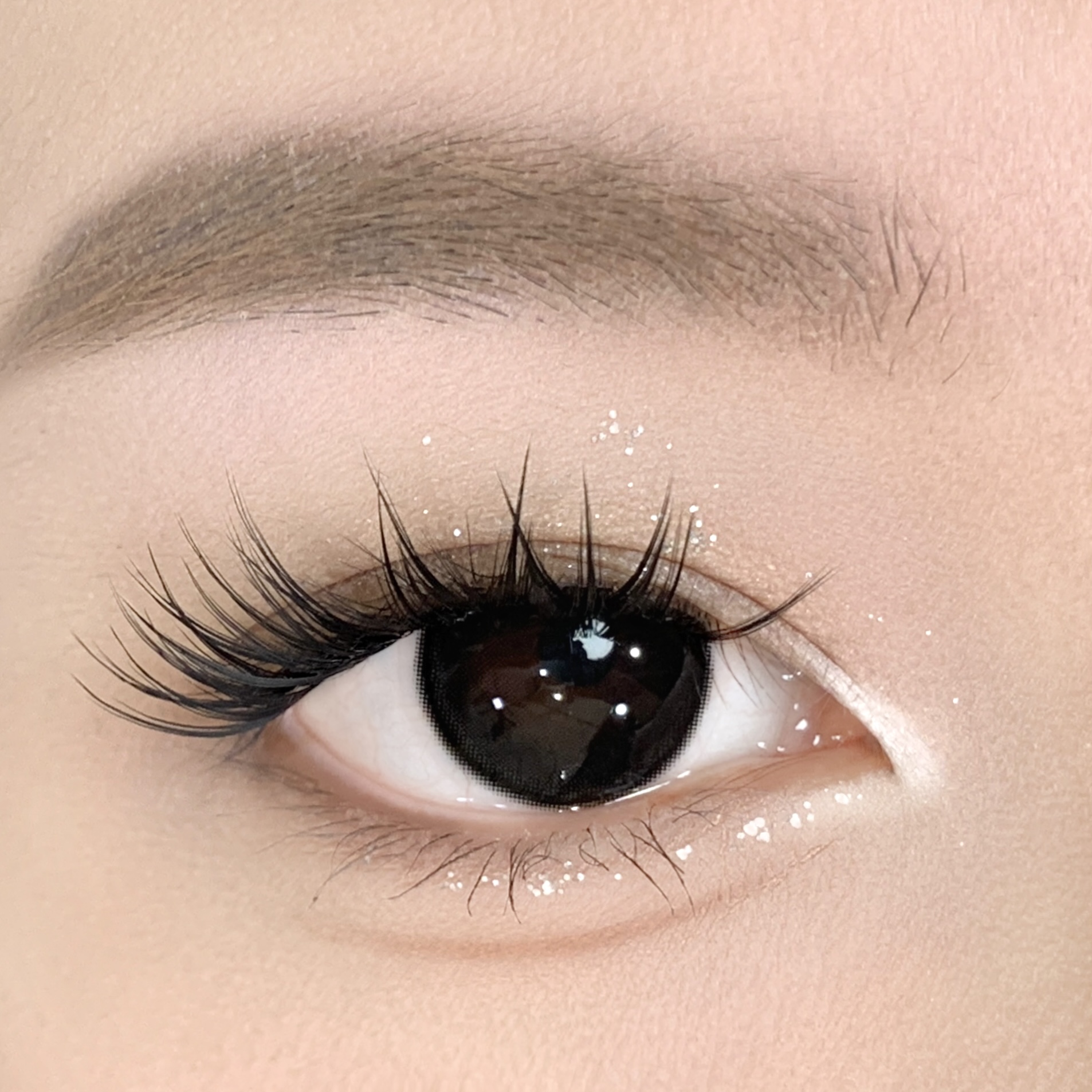 【TiNACON】Fawn black  14.2mm 6 months Watery Soft Contact Lens 