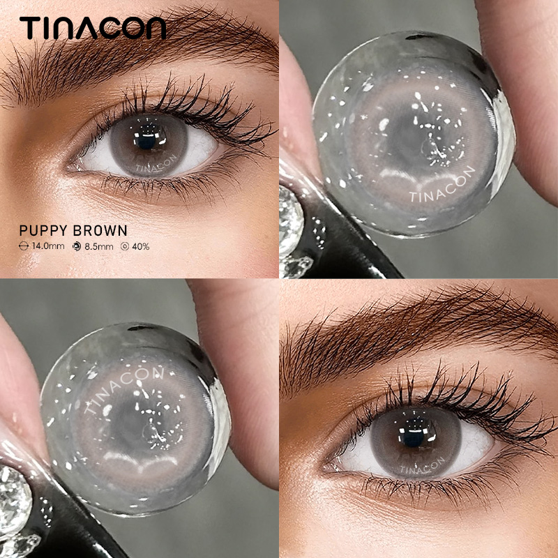 【TiNACON】Puppy Brown 14.0mm 6 Months 