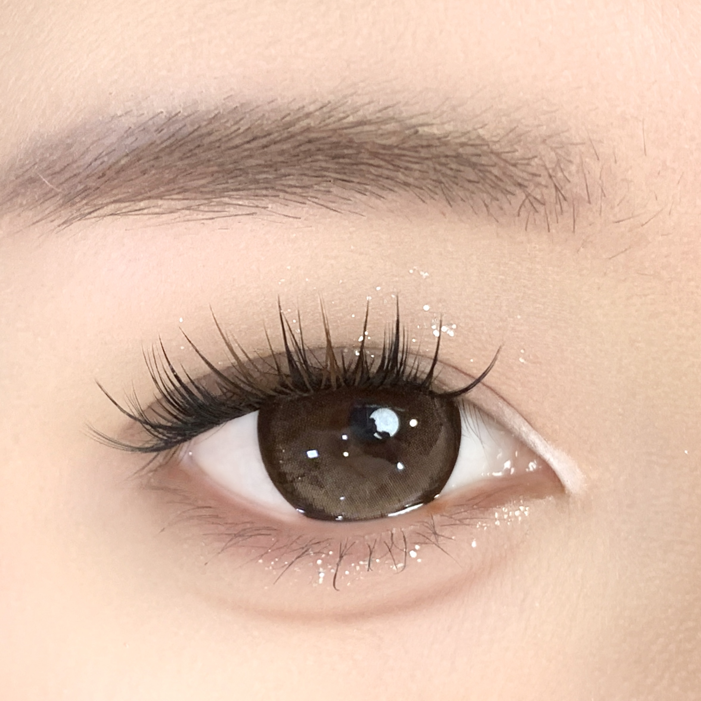 【TiNACON】Hazelnut Brown 14.5mm 6 months Watery Soft Contact Lens