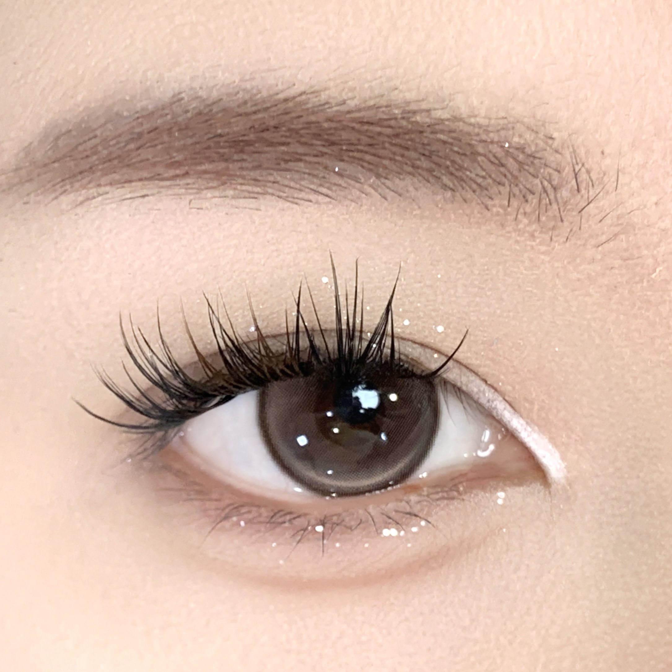 【TiNACON】Toast Brown 14.2mm 6 months Watery Soft Contact Lens 