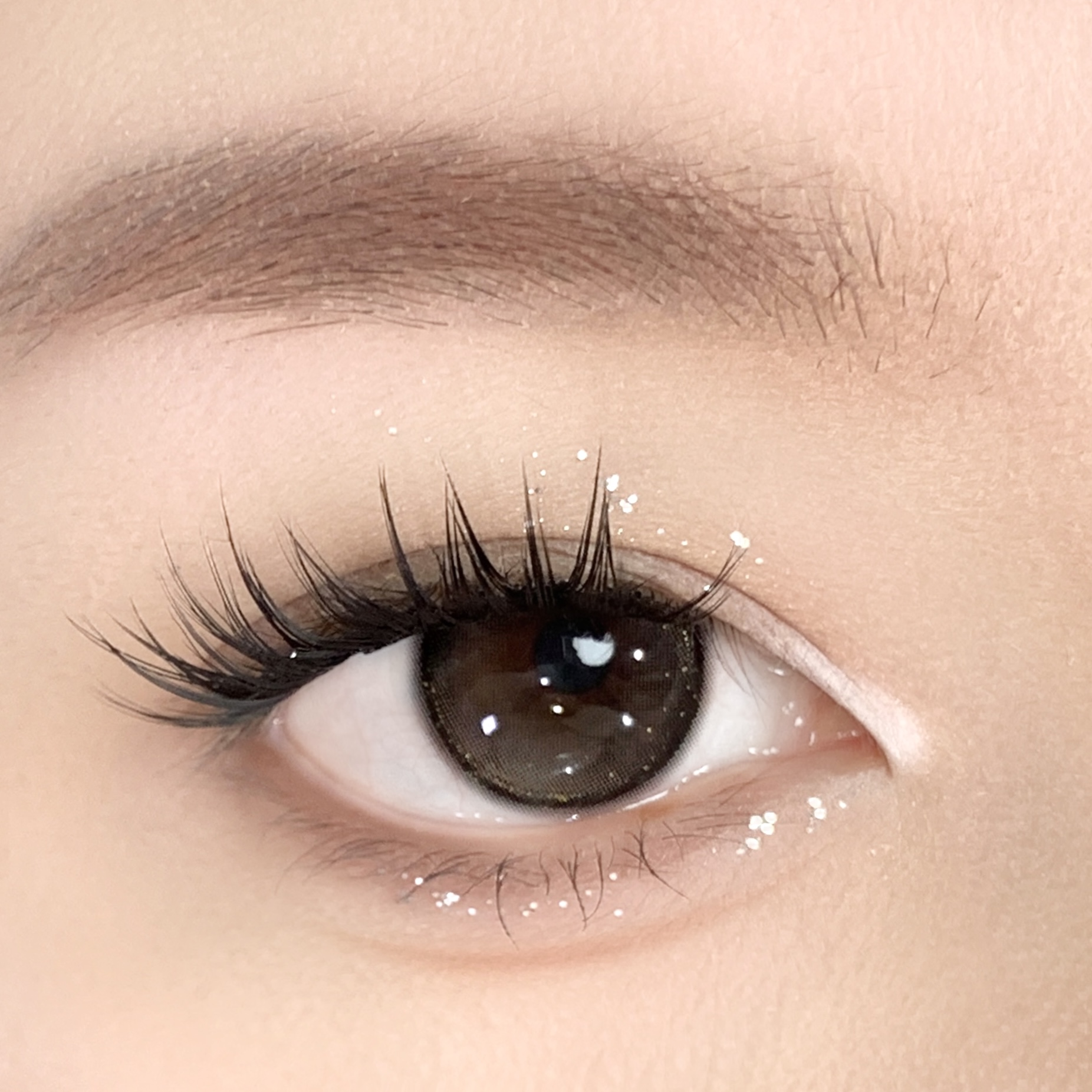 【TiNACON】Black Sugar 14.2mm Daily Watery Soft Contact Lens