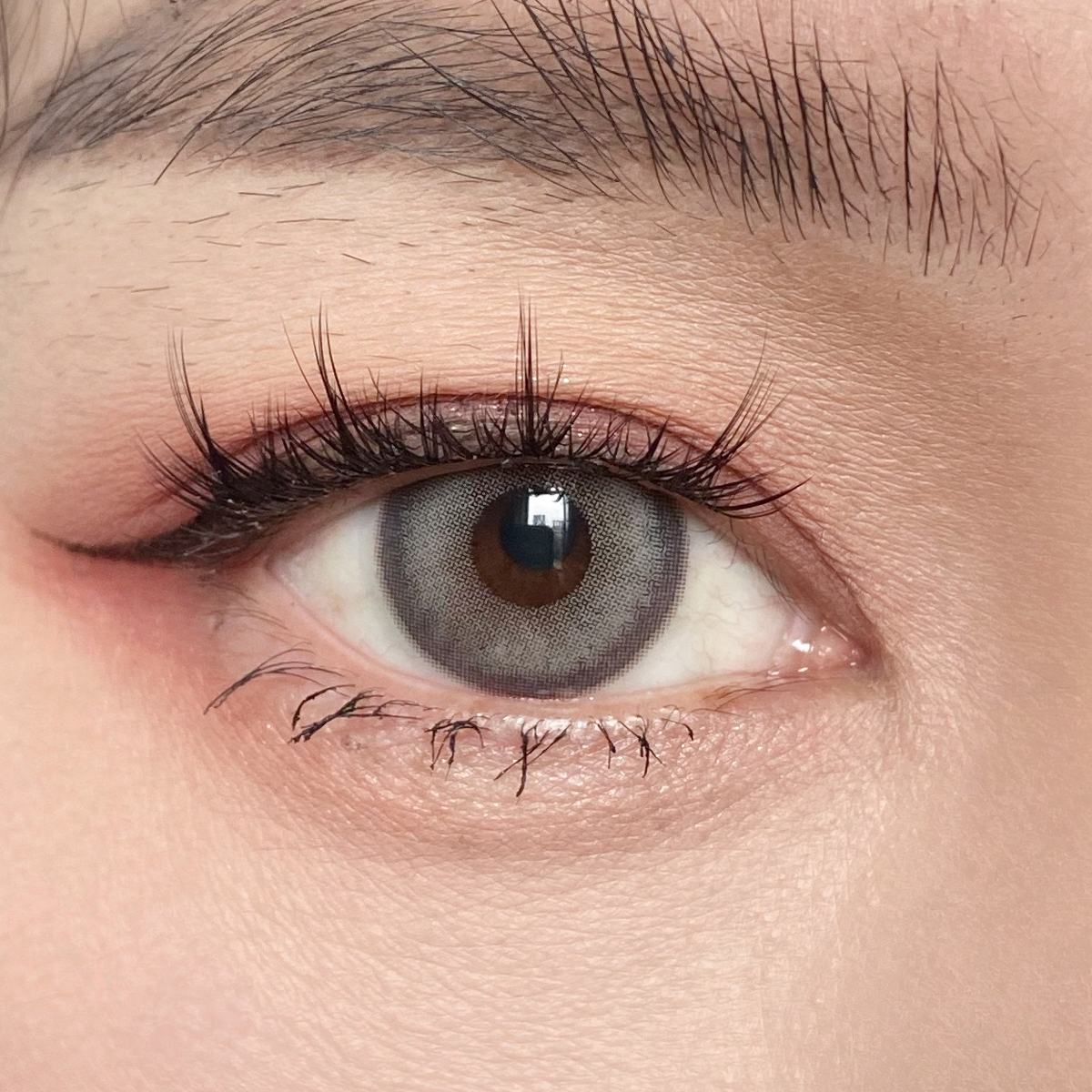 【TiNACON】Milkshake Brown 14.2mm 6 months Watery Soft Contact Lens