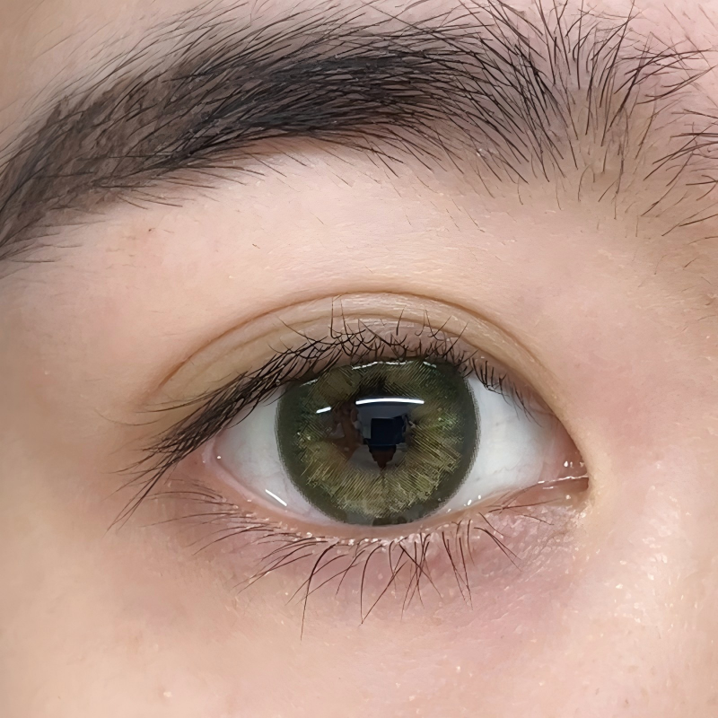 【TiNACON】Primeval Grove  14.2mm 6 months Watery Soft Contact Lens