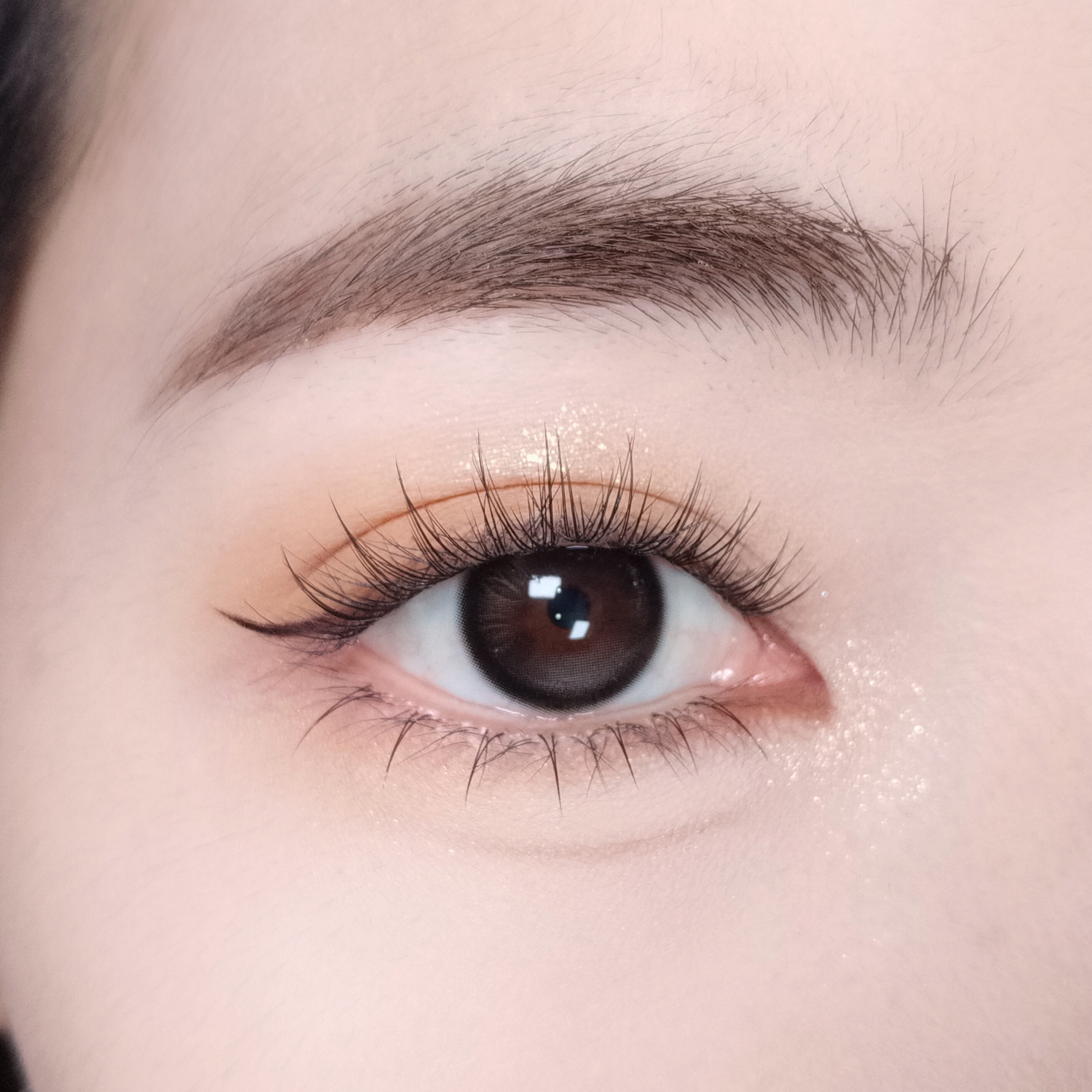 【TiNACON】Moments Gray 14.2mm Daily 2 Pieces Watery Soft Contact Lens 
