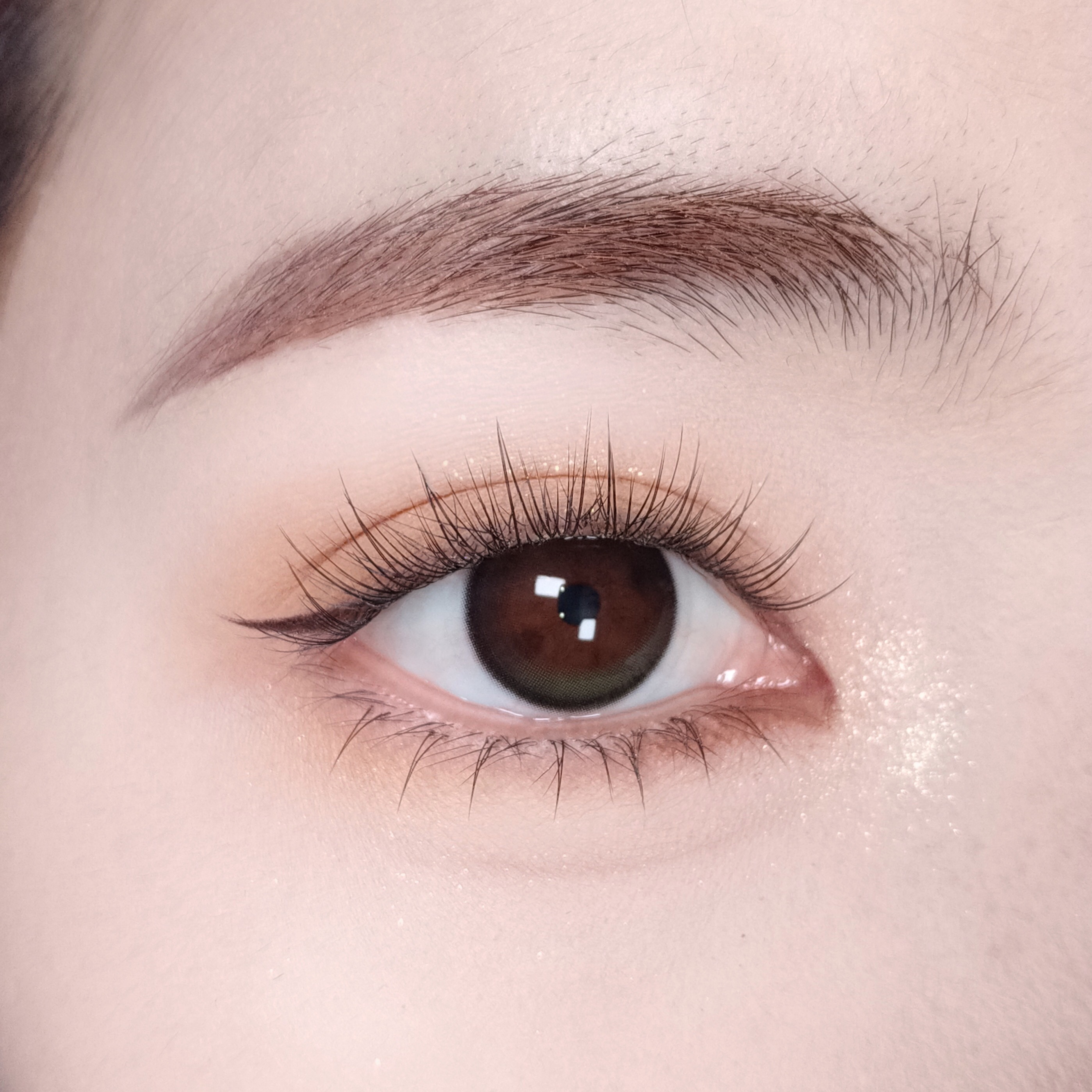 【TiNACON】New Script Gray 14.5mm Daily Watery Soft Contact Lens 
