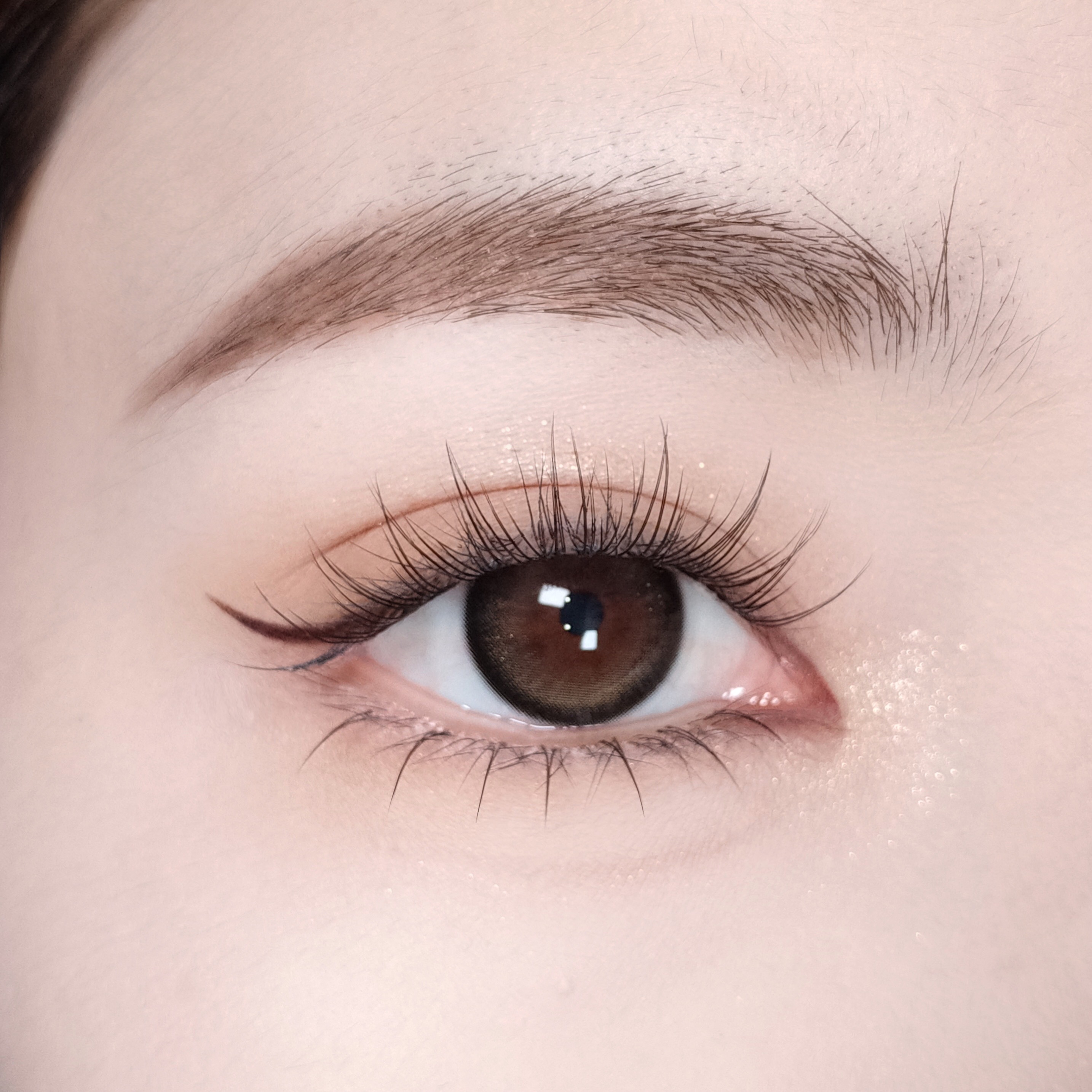 【TiNACON】Cashmere Brown 14.5mm Daily Watery Soft Contact Lens