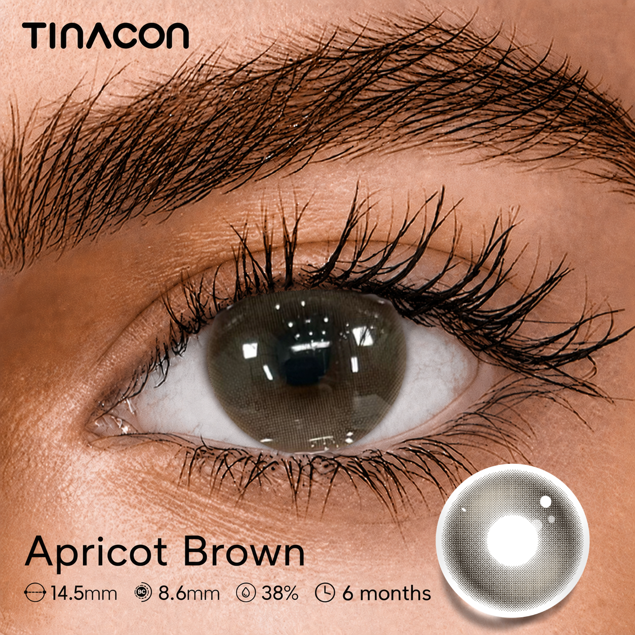 【TiNACON】Apricot Brown 14.5mm 6 months Watery Soft Contact Lens