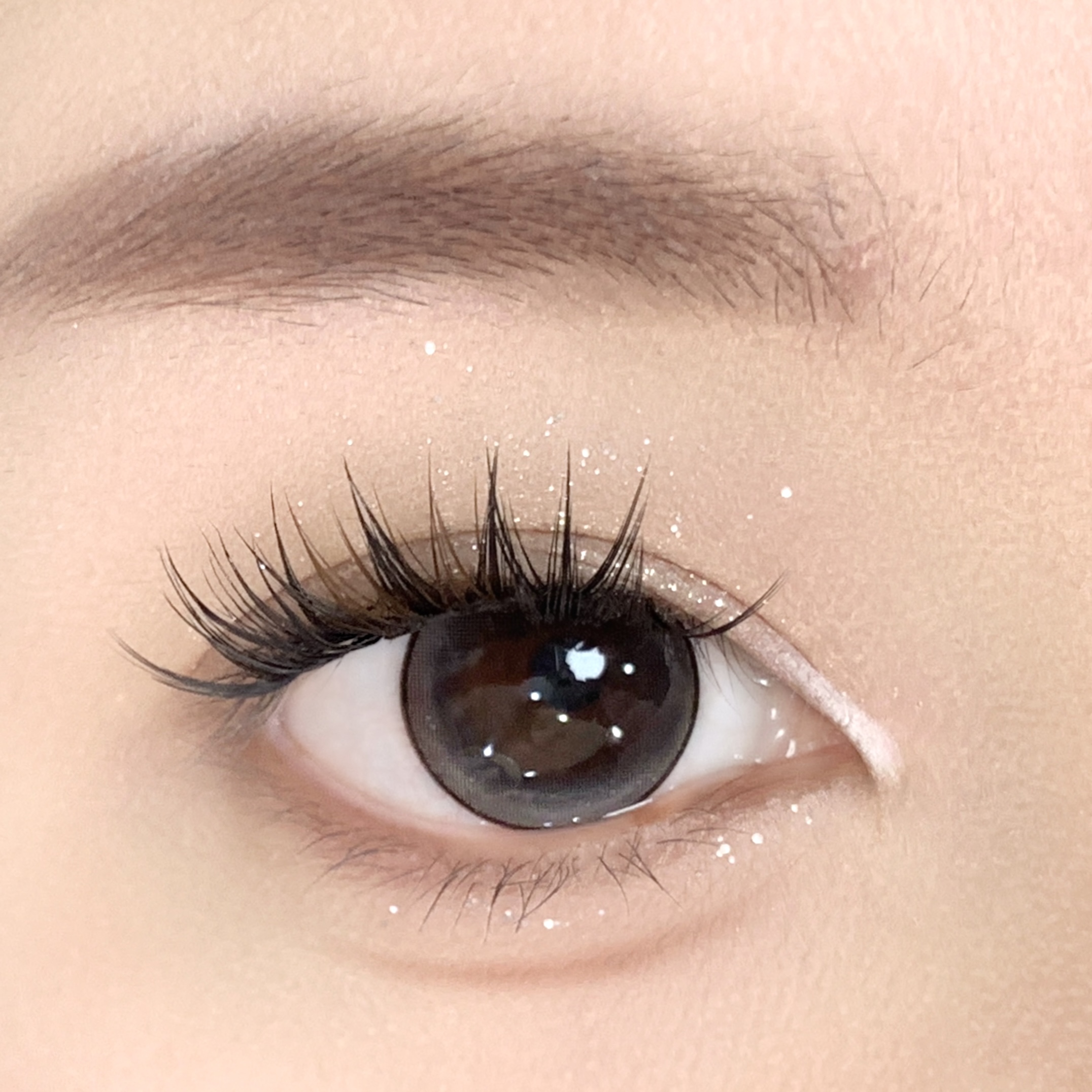 【TiNACON】Candy Black 14.2mm 6 months Watery Soft Contact Lens 