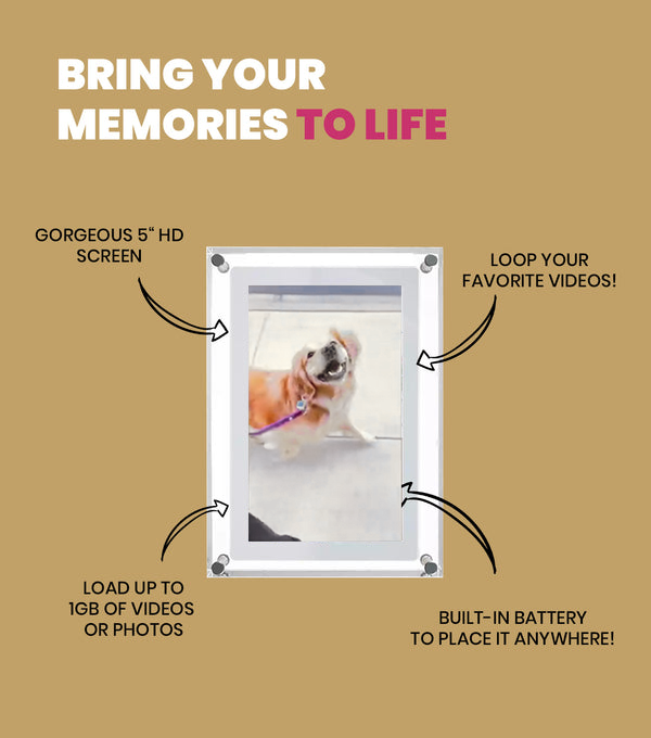  Petcreativeart - Motion Video Frame, Commemorative Time