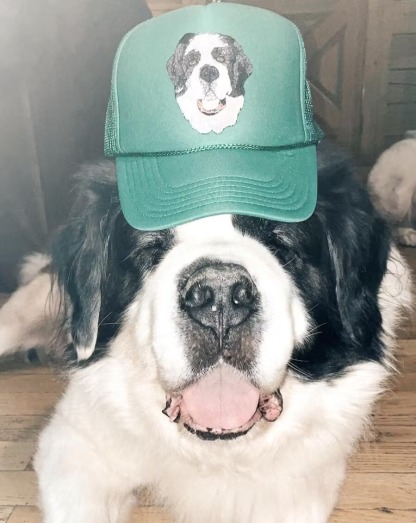 Embroidered Pet Portrait Organic Cotton Baseball Cap