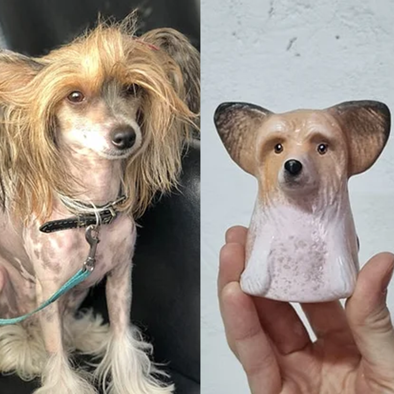 Custom Pet Portrait, Personalized Cookie Jar with Lid, Ceramic Portrait from Photo Figurine, Art Cat Sculpture, Dog Mom Lover Gift, Pet Loss Gift