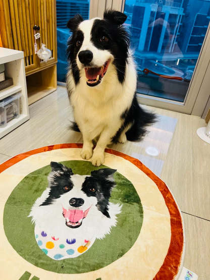 Custom Pet Portrait Rug – Pink-Themed