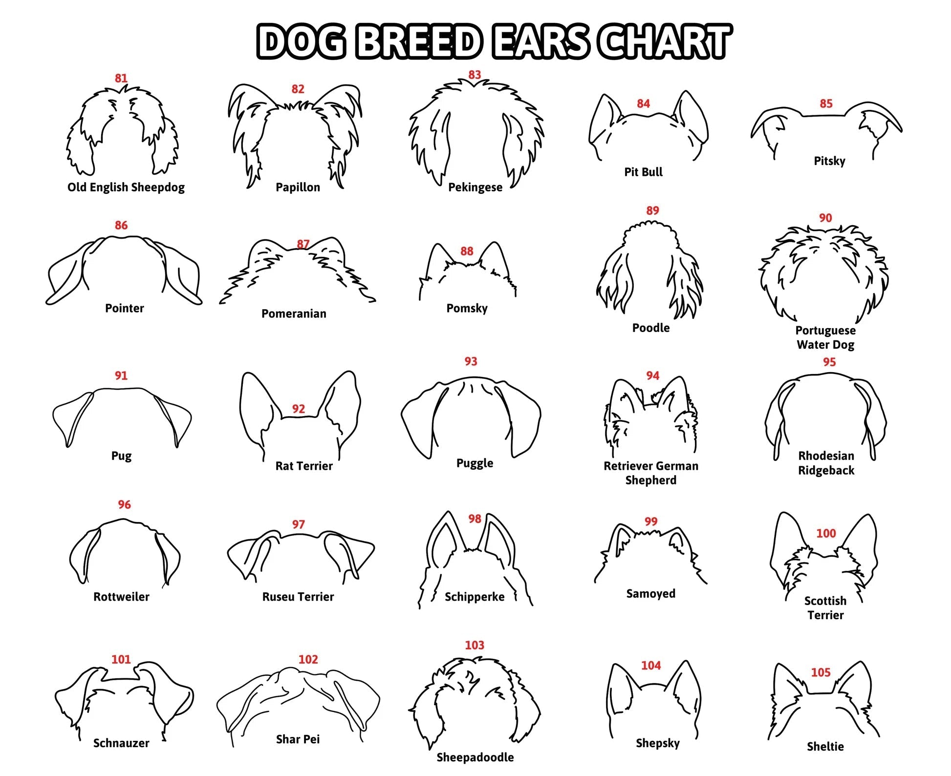 Mother's Day Gift Personalized Pet Collar Frame for Pet Loss Memorial Gift