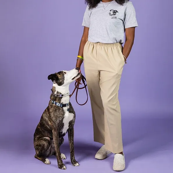 Custom Embroidered Pet Face Tee, Sweatshirt, Hoodie