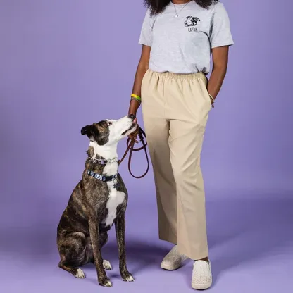 Custom Embroidered Pet Face Tee, Sweatshirt, Hoodie