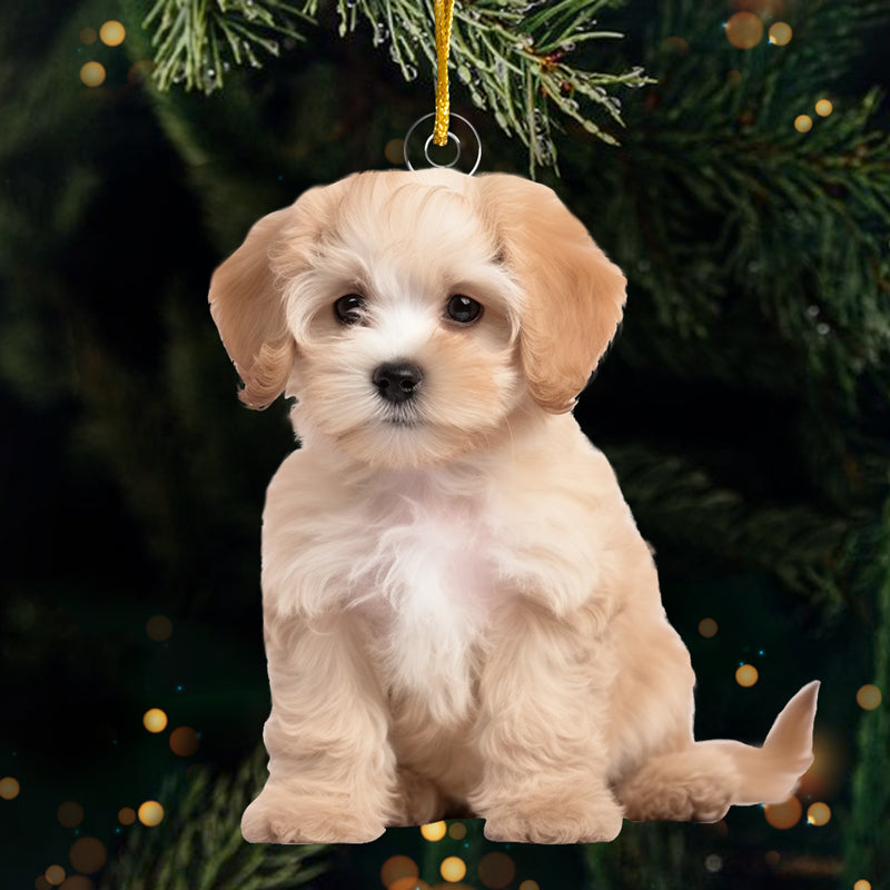 Custom Photo Pugs And Kisses On This Christmas - Dog & Cat Personalized Custom Ornament - Acrylic Custom Shaped - Christmas Gift For Pet Owners, Pet Lovers