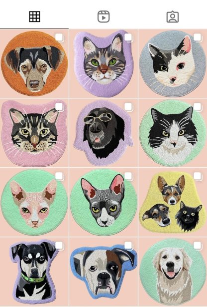 Custom Pet Portrait Rug - Personalized Cartoon Pet Rug Handmade Custom Pet Portrait Tufted Rug