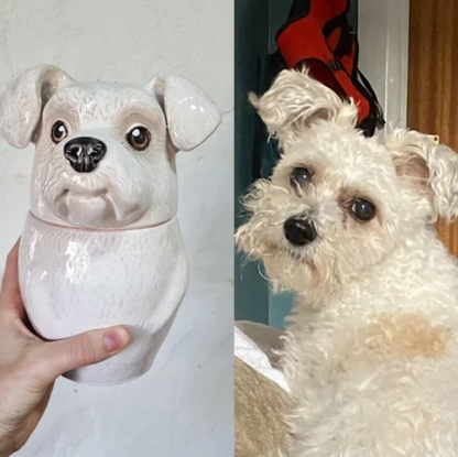 Custom Pet Portrait, Personalized Cookie Jar with Lid, Ceramic Portrait from Photo Figurine, Art Cat Sculpture, Dog Mom Lover Gift, Pet Loss Gift