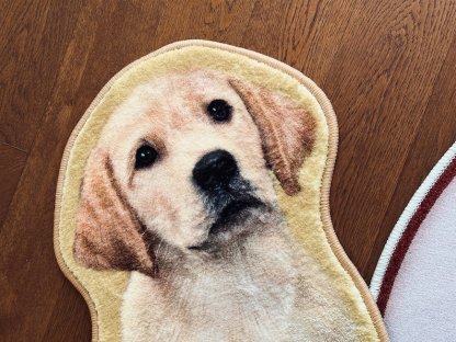 Custom Pet Portrait Rug, Custom Pet Shaped Rug, Custom Pet Rug for Cat