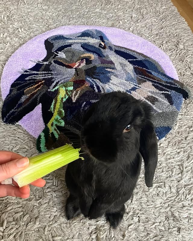 Custom Hand Tufted Rug