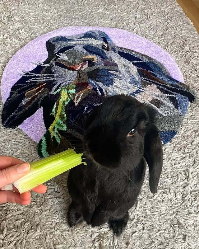 Custom Hand Tufted Rug