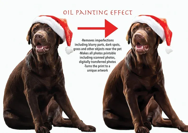 Custom Dog Face Blankets, Personalized Pet Photo Blanket, Fleece Dog Blankets