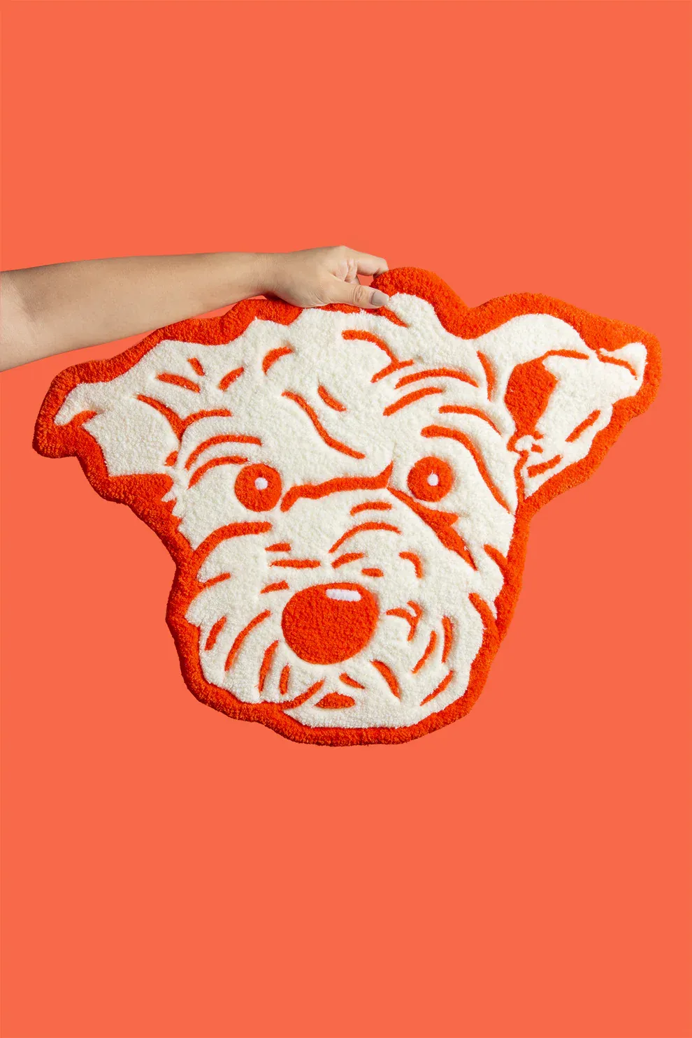 Custom Pet Tufted Rug with Name | Handcrafted Acrylic Yarn Pet Portrait Carpet | Personalized Pet Face Mat